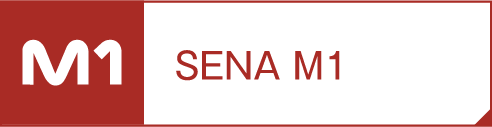 SENA M1（在庫限り）